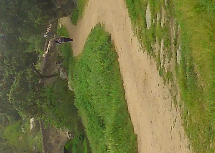 El Camionero Burguillos Del Cerro